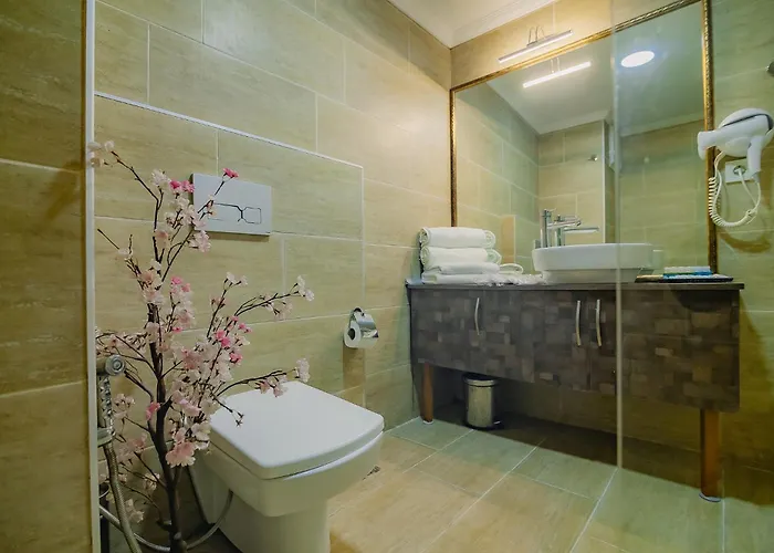 Galataport Flat Company 4* Istanbul